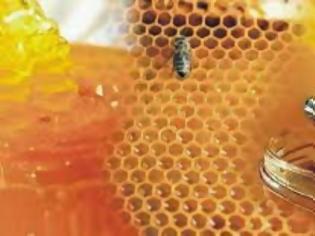 Φωτογραφία για Πως να διακρίνετε αν το μέλι είναι νοθευμένο! [photos]