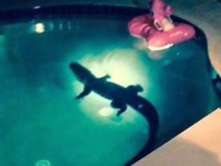 Φωτογραφία για Έπαθαν την πλάκα της ζωής τους όταν βρήκαν στην πισίνα... [video]