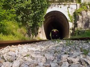 Φωτογραφία για Ένα διάλειμμα από την πολιτική επικαιρότητα [video]