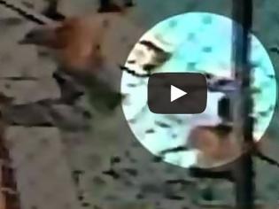 Φωτογραφία για ΣΚΗΝΕΣ ΣΟΚ στη Φλόριντα: Καρέ καρέ οι σκηνές πανικού - Παιδιά έπαθαν ηλεκτροπληξία σε πισίνα! [video]