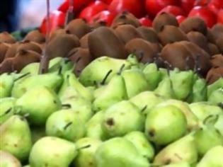 Φωτογραφία για Ανησυχία για τις εξαγωγές φρούτων και λαχανικών λόγω Ουκρανίας