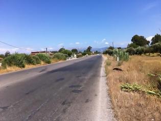 Φωτογραφία για Πατρών-Πύργου: Σπείρες κλέβουν καλώδια ηλεκτροφωτισμού - Πυκνώνουν ανησυχητικά τα κρούσματα