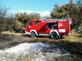 Φωτογραφία για Αχαΐα: Κλείνουν πυροσβεστικούς σταθμούς εν μέσω αντιπυρικής περιόδου!