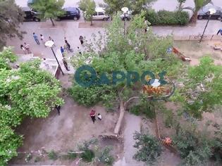 Φωτογραφία για Καλαμάτα: Καταπλακώθηκε 15χρονη από δέντρο