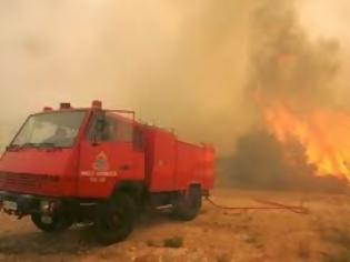 Φωτογραφία για Φωτιά ξέσπασε στη Μεγάλη Βελανιδιά Μαγνησίας