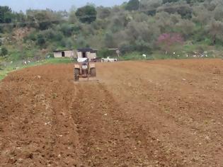 Φωτογραφία για Δείτε τι βρήκε αγρότης από την Ηλεία σκάβοντας το χωράφι του!