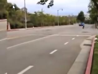 Φωτογραφία για Μια βόλτα με το αυτοκίνητο του κόστισε ο κούκος αηδόνι  [video]