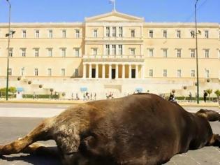 Φωτογραφία για Aλλαγές στο Σύνταγμα ώστε τα ζώα να μην αντιμετωπίζονται ως αντικείμενα