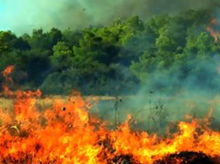 Φωτογραφία για Χαλκιδική: Κεραυνός προκάλεσε πυρκαγιά - 1,5 χλμ το πύρινο μέτωπο
