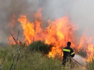 Φωτογραφία για Κλείνουν εθελοντικό σταθμό δασοπυρόσβεσης εν μέσω αντιπυρικής περιόδου