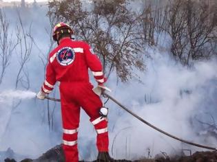 Φωτογραφία για Συνδρομή της Ελληνικής Ομάδας Διάσωσης στην κατάσβεση της πυρκαγιάς στον Αρμενιστή Χαλκιδικής