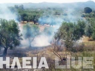 Φωτογραφία για Ηλεία: Άρχισαν οι φωτιές – Τρέχει η πυροσβεστική