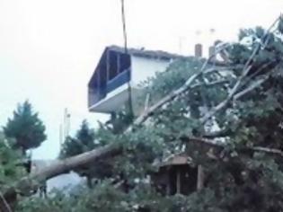 Φωτογραφία για Καταστροφές από καιρικά φαινόμενα στην Ορεστιάδα [video]