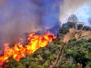 Φωτογραφία για Συναγερμός στη Λέσβο από φωτιά κοντά στο αεροδρόμιο