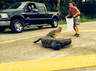 Φωτογραφία για ΗΠΑ: Έτσι πήγε να βγάλει αλιγάτορα από το δρόμο και κατέληξε στο νοσοκομείο! - Προσοχή, σκληρές εικόνες