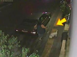 Φωτογραφία για Βίντεο ΝΤΟΚΟΥΜΕΝΤΟ για γερά νεύρα: Γυναίκα εγκαταλείπει το σκυλάκι της στη Νίκαια - Χτυπιέται μάταια το άμοιρο για να μπει στο αμάξι [video]