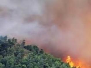 Φωτογραφία για Φωτιά έκαψε 120 στρέμματα στο Νεοχωράκι Αλμυρού