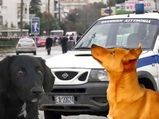 Φωτογραφία για Έγινε και αυτό στη Πάτρα - Προσήγαγαν στο αστυνομικό τμήμα σκυλιά γιατί «μπήκαν» σε δημοτικό χώρο