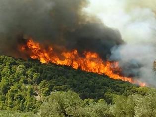 Φωτογραφία για Υψηλός είναι σήμερα ο κίνδυνος πυρκαγιάς σε Αττική και νησιά [photo]