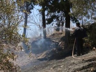 Φωτογραφία για Μεγάλη φωτιά στο Ηράκλειο: Απειλήθηκαν κατοικίες – Δείτε φωτο και βίντεο