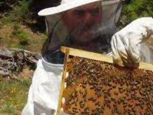 Φωτογραφία για ΥπΑΑΤ: Μέχρι τέλος Ιουλίου 68 εκπαιδευτικά προγράμματα μελισσοκόμων