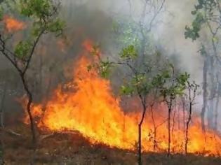 Φωτογραφία για Απαγόρευση κυκλοφορίας οχημάτων και πεζών λόγω κινδύνου εκδήλωσης Πυρκαγιάς στα δάση Μοσχοποδίου, Αγ. Τριάδας και Κιθαιρώνα