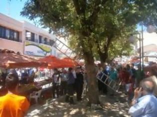 Φωτογραφία για Πανικός στο κέντρο των Τρικάλων με φίδι που βγήκε για... ψώνια στην λαϊκή αγορά [photos + video]