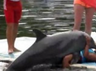 Φωτογραφία για Δείτε τι κάνει το δελφίνι στην κοπέλα! [video]