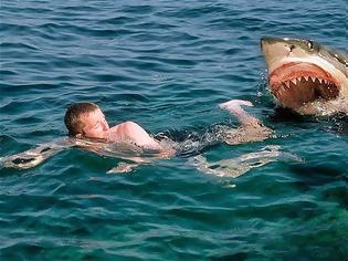 Φωτογραφία για Βίντεο ντοκουμέντο από τον κολυμβητή που γλίτωσε από τα σαγόνια καρχαρία χτυπώντας τον με μπουνιές!