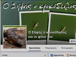 Φωτογραφία για Ο κροκόδειλος του Ρεθύμνου, έγινε σταρ και απέκτησε σελίδα στο Facebook