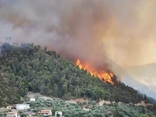 Φωτογραφία για Μία σύλληψη για τη φωτιά στο Άγιον Όρος το 2012