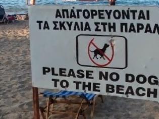 Φωτογραφία για Απαγορεύονται οι σκύλοι στις παραλίες της Λάρνακας
