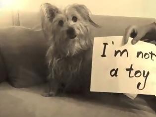 Φωτογραφία για Όλα τα σκυλιά είναι ίσα! Ένα υπέροχο βίντεο από την Ζωοφιλική Ένωση Ηλιούπολης