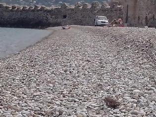 Φωτογραφία για Πάτρα: Ελληνάρες με τζιπ στις παραλίες του Ρίου - Μαρσάρουν με κίνδυνο να τραυματίσουν λουόμενους