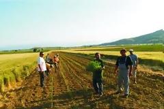 Θετικά μηνύματα από την πορεία των εξαγωγών