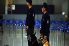 Λαθρομετανάστες με πλαστά διαβατήρια στο αεροδρόμιο Αράξου!
