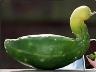 Φωτογραφία για Τα πιο παράξενα σχήματα λαχανικών!