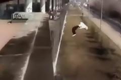 To Parkour στη Ρωσία είναι σκέτη τρέλα! [video]
