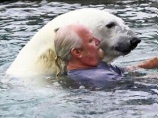 Φωτογραφία για Κολυμπώντας «αγκαλιά» με μια πολική αρκούδα! [Video]