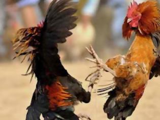 Φωτογραφία για Κοκορομαχίες: Βορίδης κατά Χρυσοχοΐδη και όλοι εναντίον όλων
