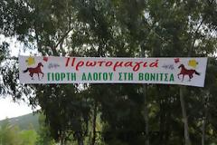 Πρωτομαγιά στην Βόνιτσα με τον Ιππικό Όμιλο