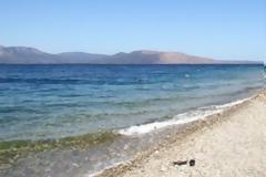 Καθαρισμός παραλίας Ωρωπού