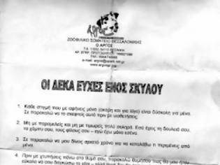 Φωτογραφία για Οι 10 ευχές ενός σκύλου...