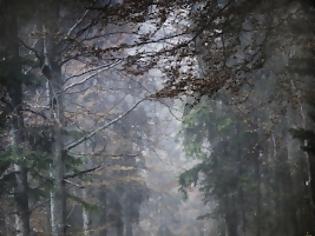 Φωτογραφία για Πώς αυξήθηκε το δημόσιο χρέος