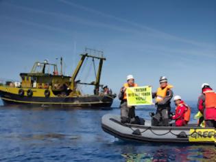 Φωτογραφία για Ακτιβιστές της Greenpeace στον εισαγγελέα, γιατί υπερασπίστηκαν τη σωτηρία των ελληνικών θαλασσών