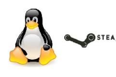 Έρχεται το Steam για Linux!