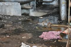 Πυρκαγιά σε εργοστάσιο στη Χίο