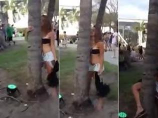 Φωτογραφία για Αυτό και αν είναι περίεργο! Μεθυσμένη προσπαθεί να... κάνει σεξ με δέντρο!!! [video]