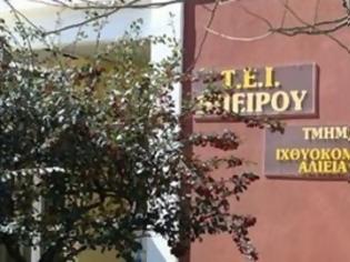 Φωτογραφία για Kλείνουν τρία τμήματα του ΤΕΙ Ηπείρου