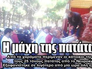 Φωτογραφία για Έγινε της...πατάτας στη Λέσβο